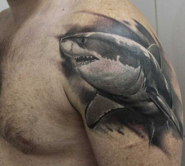 Татуировка на плече акула