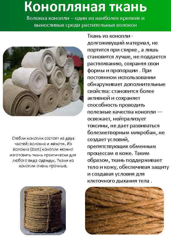 Ткань из конопли: как производится, польза для одежды