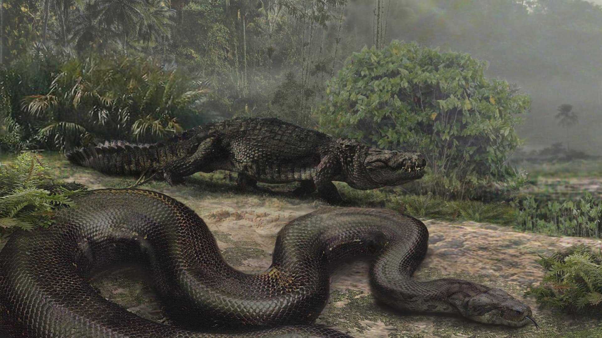 Самые ядовитые змеи в мире: 10 наиболее опасных пресмыкающихся планеты
