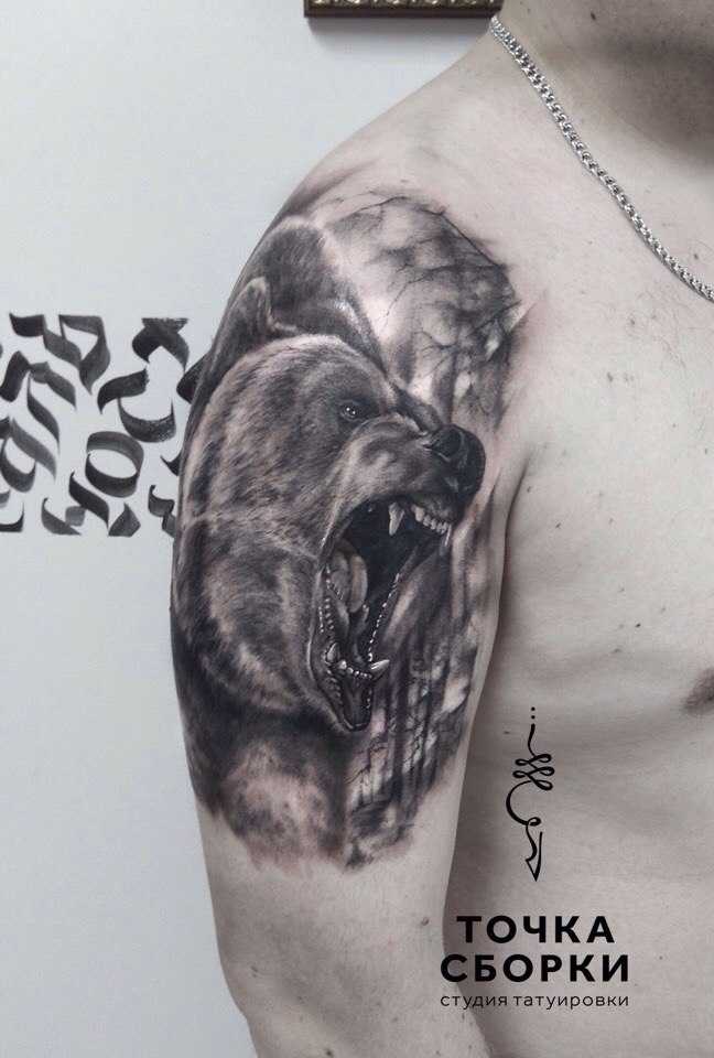 Эскизы тату медведь для мужчин на плече