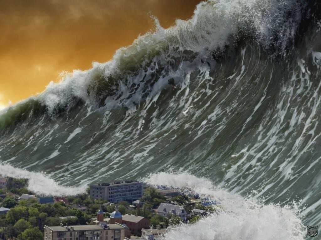 Какая высота была у самого большого цунами - hi-news.ru
