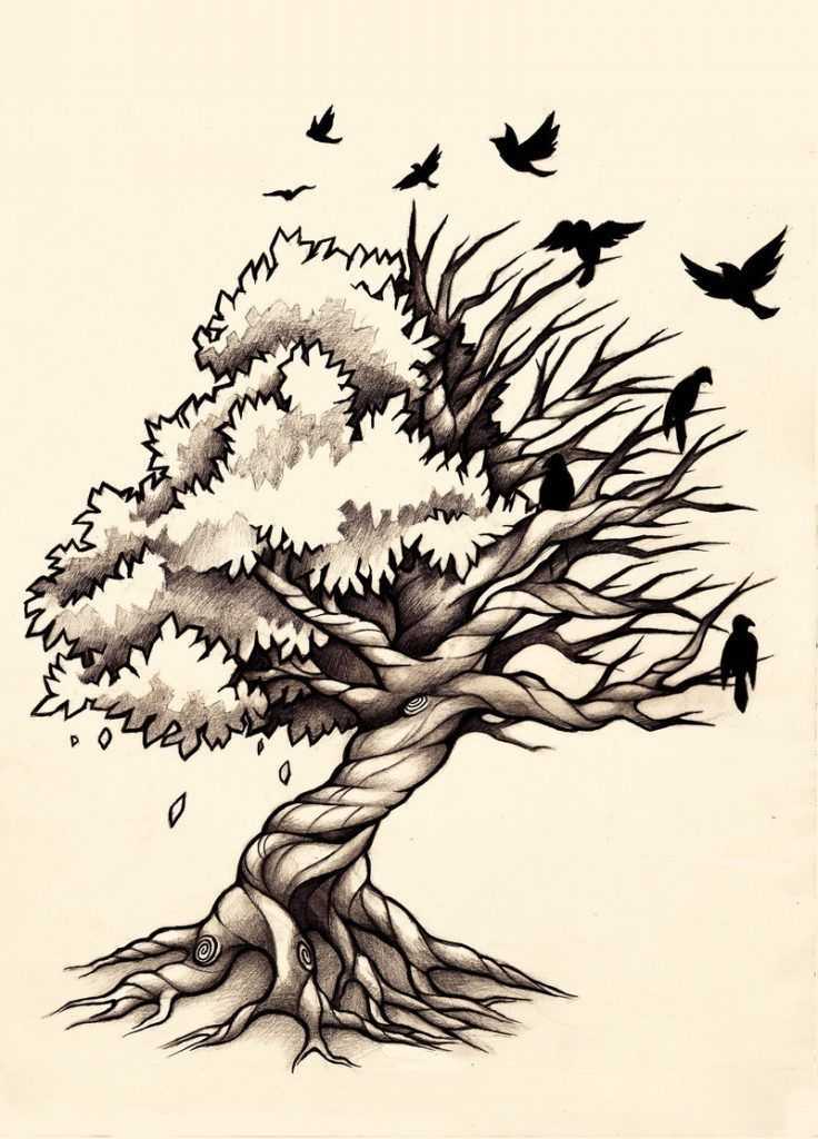 Эскиз тату дерево с птицами