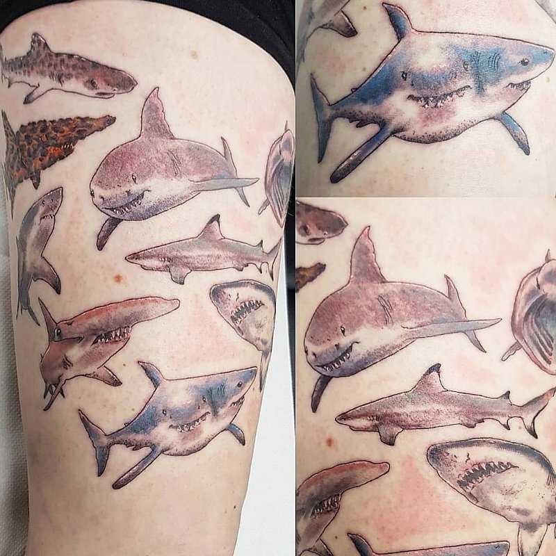 Тату акула: 100 фото-идей, значение, эскизы для девушек и парней Тату акула на руке, ноге, предплечье, плече, груди, шее Тату акула-молот