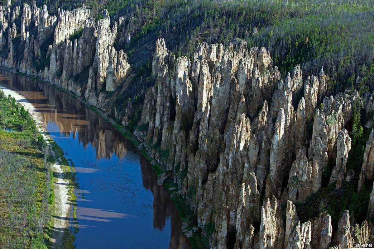 Топ-10 самых крупных рек россии: названия, фото