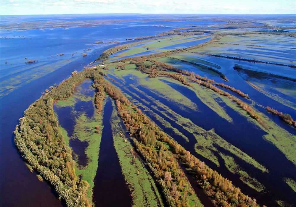 Топ 10 крупнейших болот россии: карта, список, краткое описание и видео