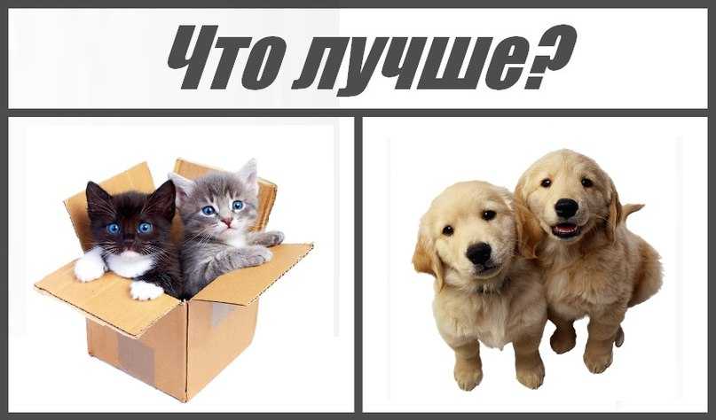 Тинсулейт — что это: наполнитель и утеплитель, характеристики, разновидности