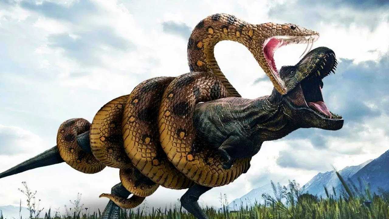 Титанобоа — самая большая змея на планете