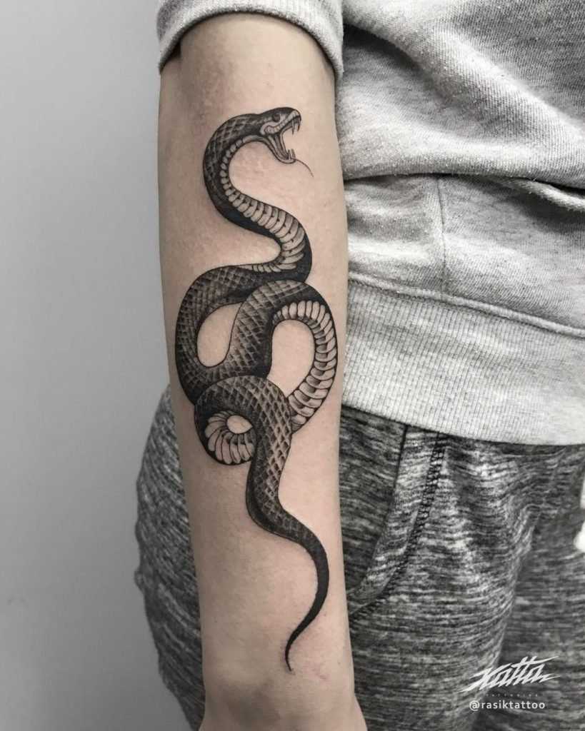 Мужские тату змеи на руке - эскизы, значение татуировок со змеей