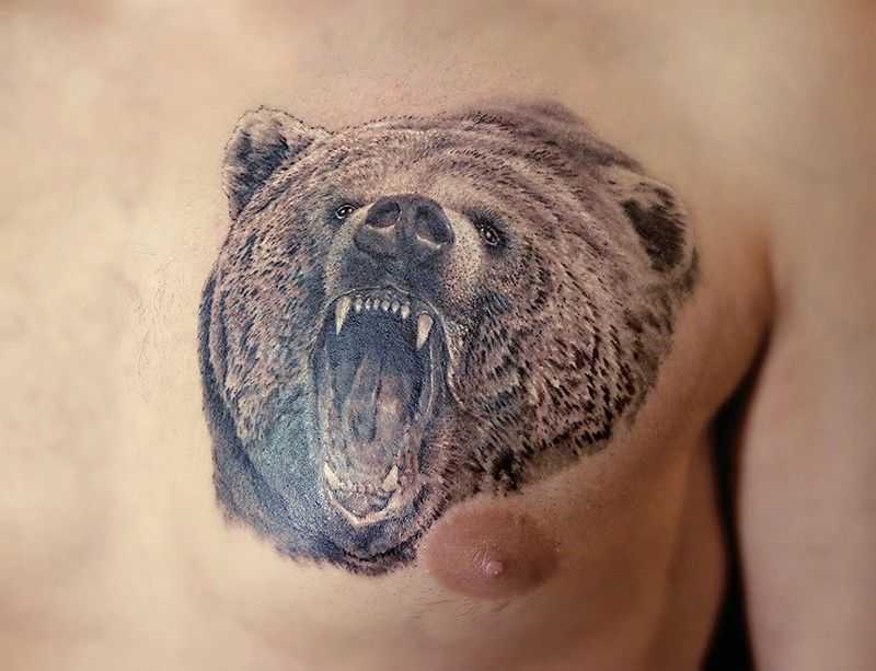 Тату медведь на грудине мужские