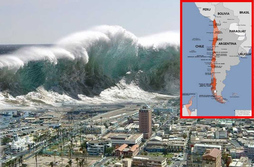 Какая высота была у самого большого цунами