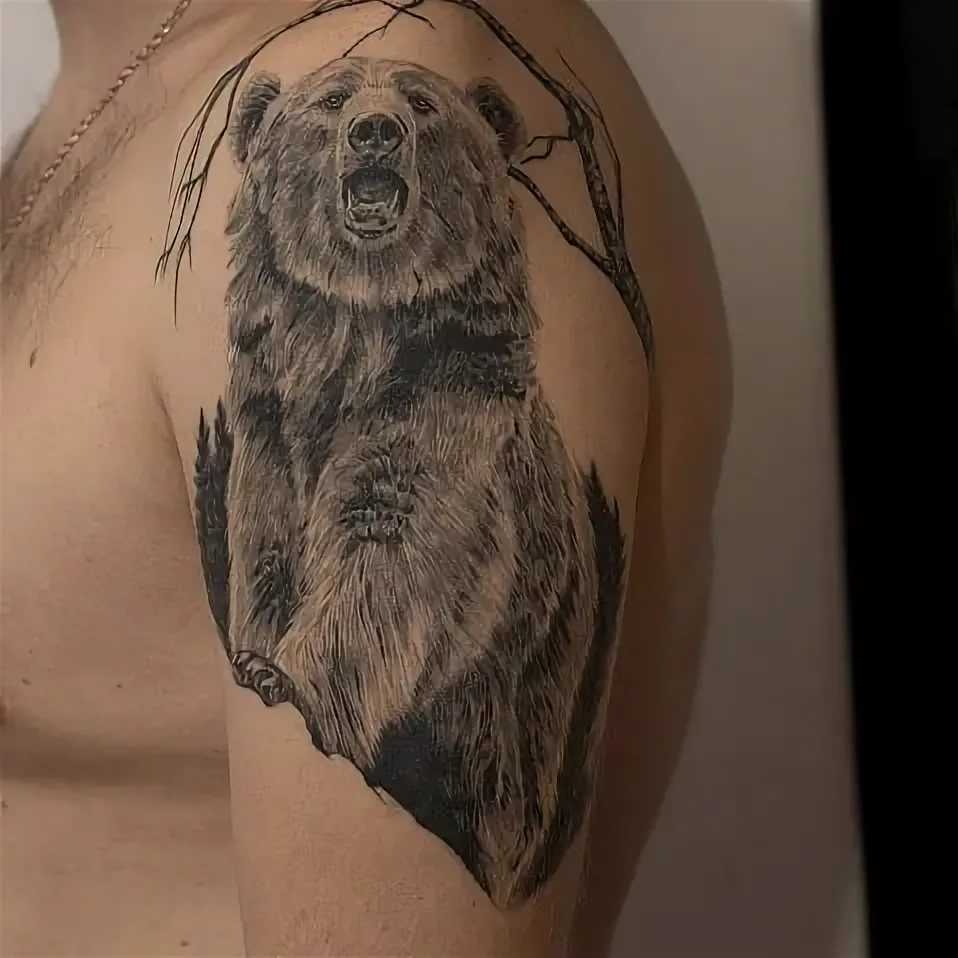 Тату медведь - значение для мужчин с фото и описанием