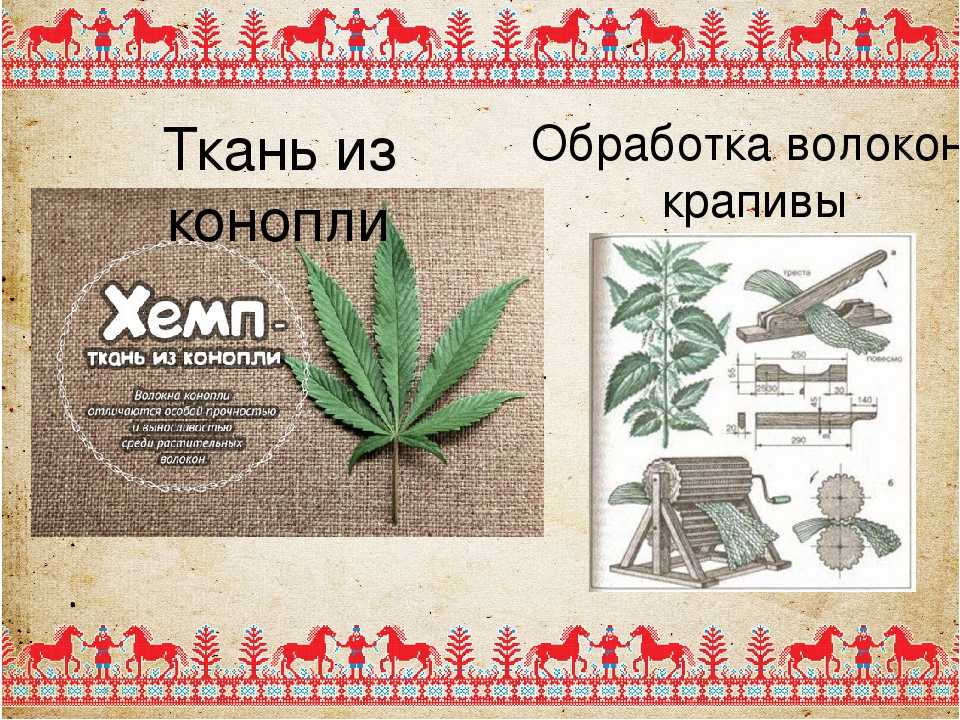 Курили ли славяне коноплю марихуана в контакте
