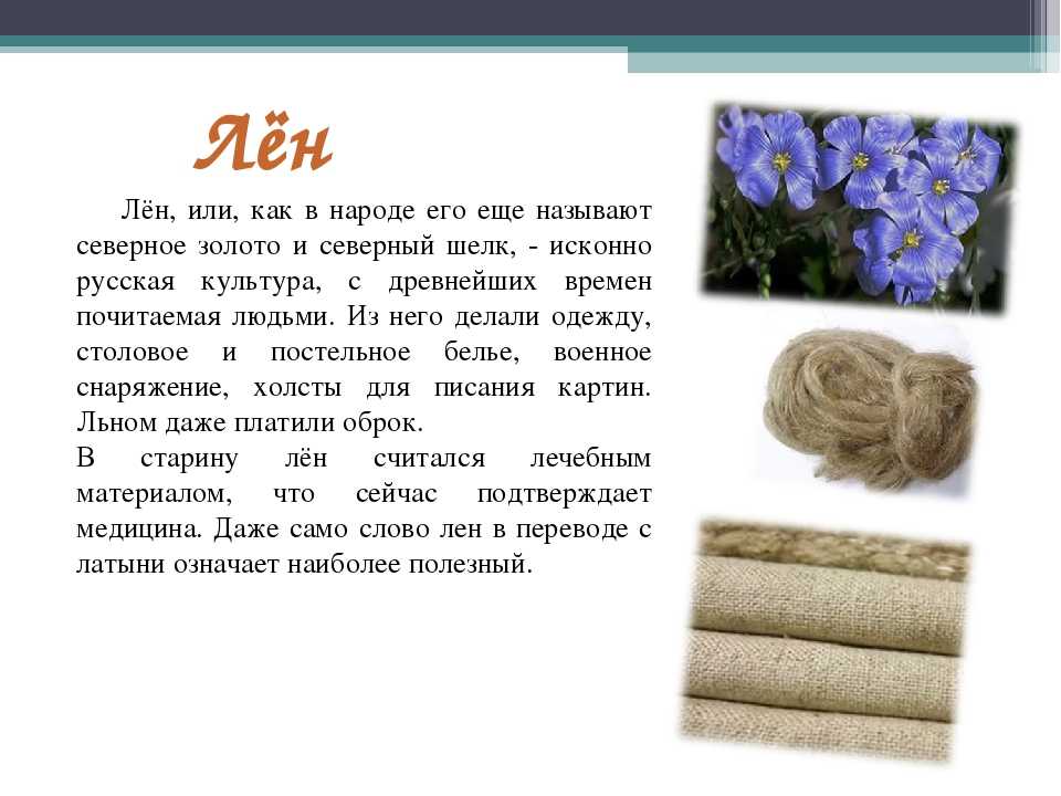 Растение для производства ткани. Информация о льне. Сырье для производства льняных тканей. Лен изготовление ткани. Сырье льняной ткани.