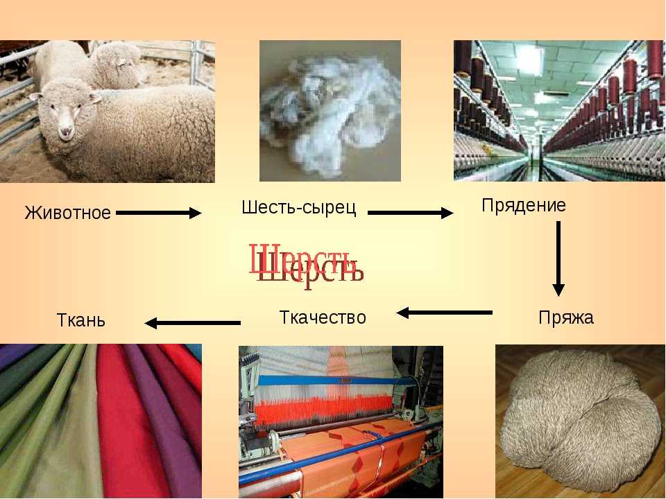 Вирджинская шерсть (virgin wool)