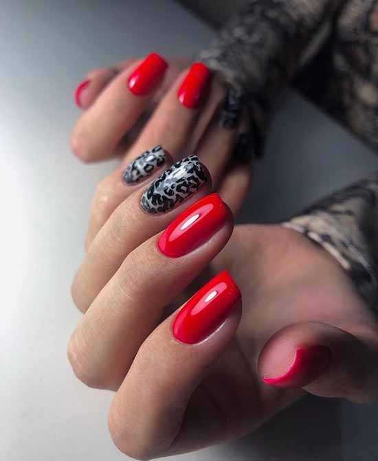 Красно-черный маникюр: фото, новинки, модный дизайн ногтей