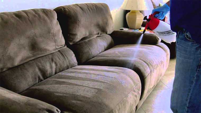 Как почистить велюровый диван в домашних условиях