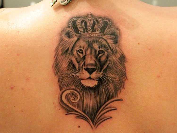 Тату по знаку зодиака лев для женщин. татуировка знак зодиака лев: значение для мужчин и девушек, расположение и фото. места нанесения татуировки лев