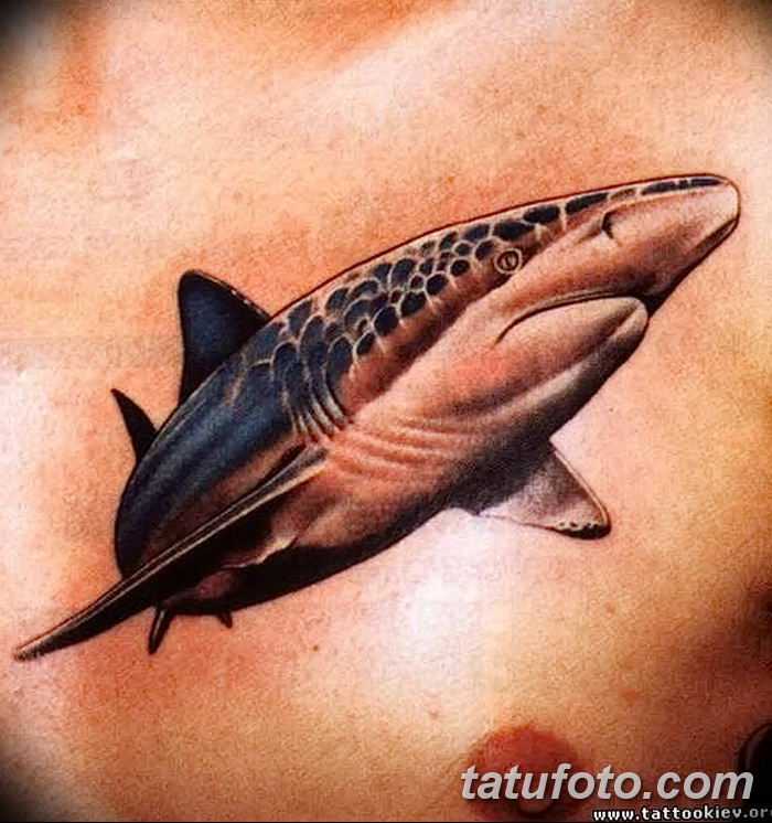 Плывущая акула тату