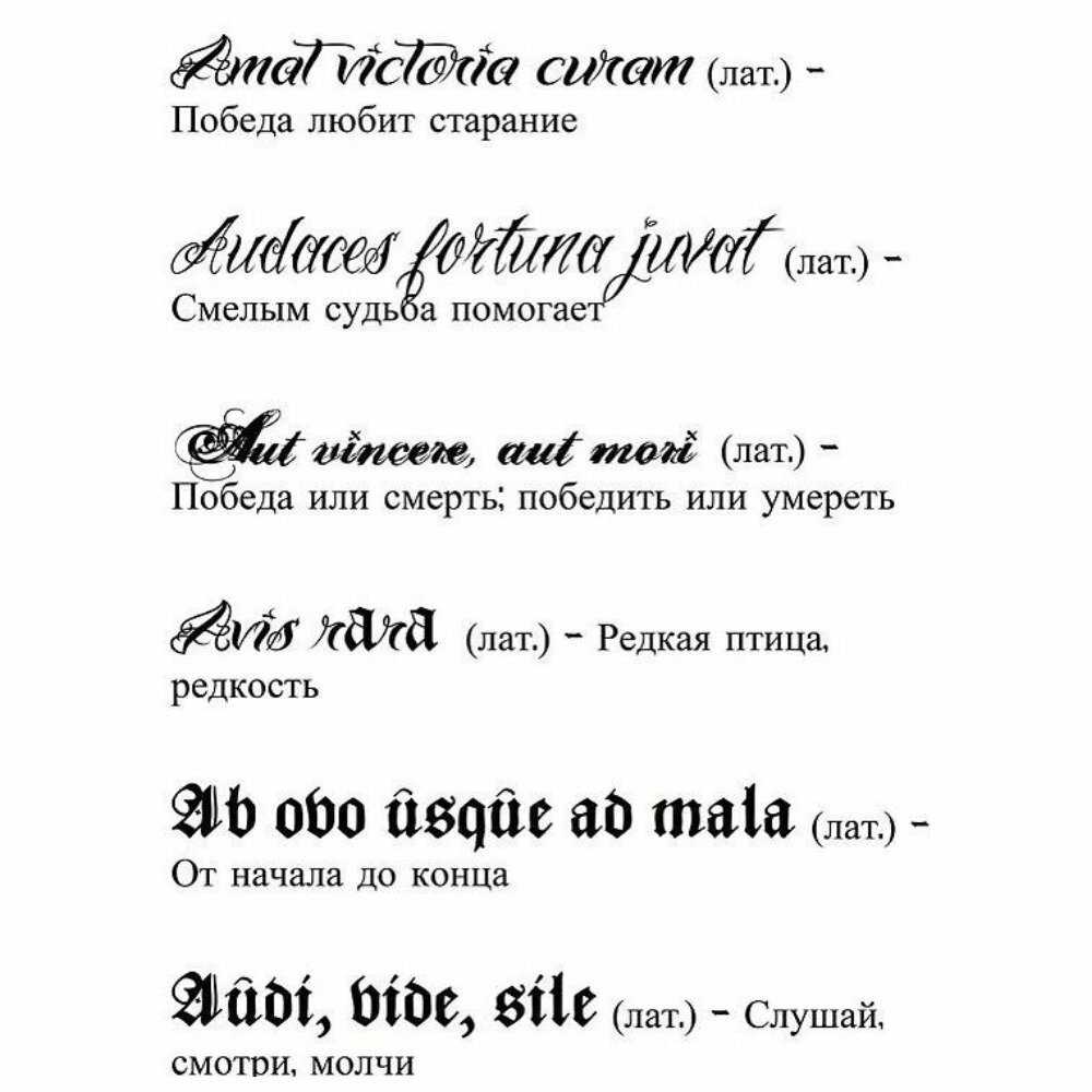 Тату надписи на латыни для девушек и мужчин - эскизы, перевод