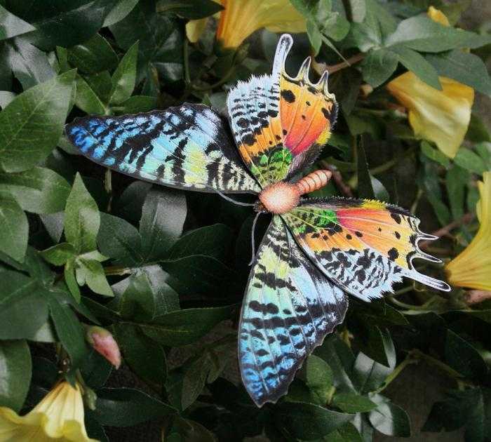 10 самых необычных и красивых бабочек в мире